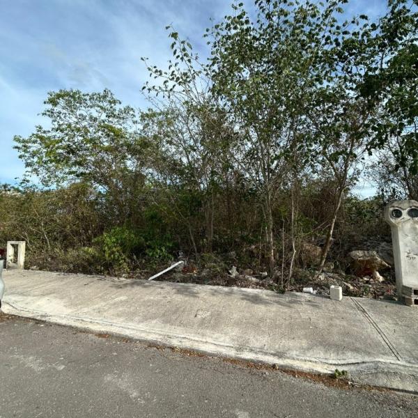 Venta Terreno fraccionamiento Mallorca